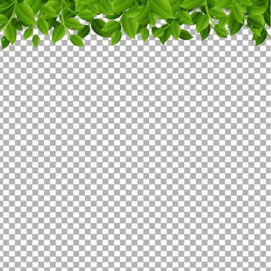 Ağaç dalları izole