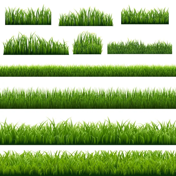 Stor uppsättning gröna gräs kanter bakgrund vit bakgrund — Stock vektor