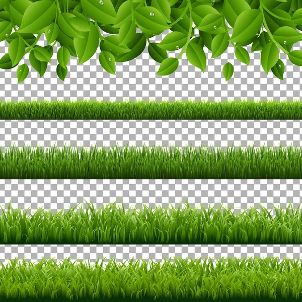 Big Set Green Grass and Leaves Borders Transparent Background — стоковый вектор