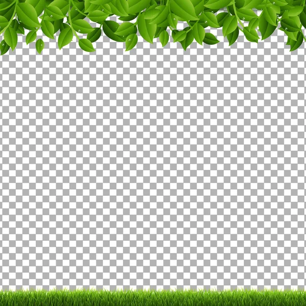 緑の枝と草の透明な背景 — ストックベクタ