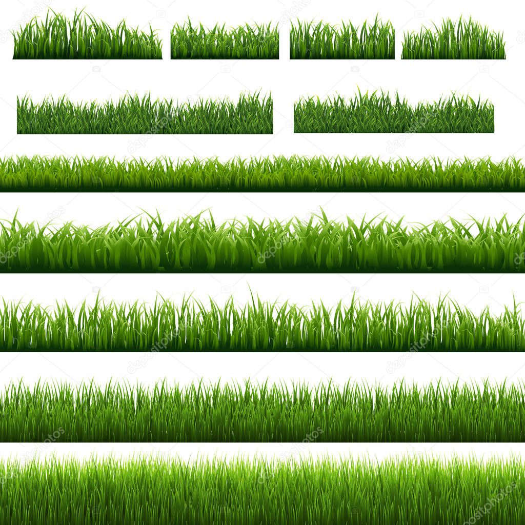 Big Set Green Grass Borders Isolated