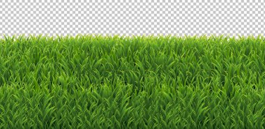 Yeşil Çimen Çerçevesi Şeffaf Arkaplan