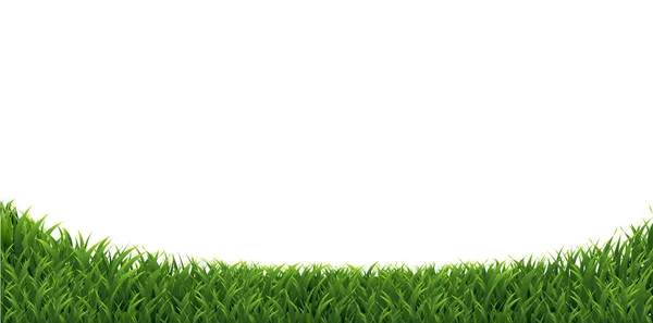 Verde hierba frontera aislado — Vector de stock