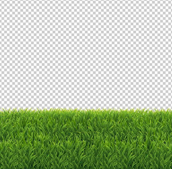 Průhledné pozadí okraje zelené trávy — Stockový vektor