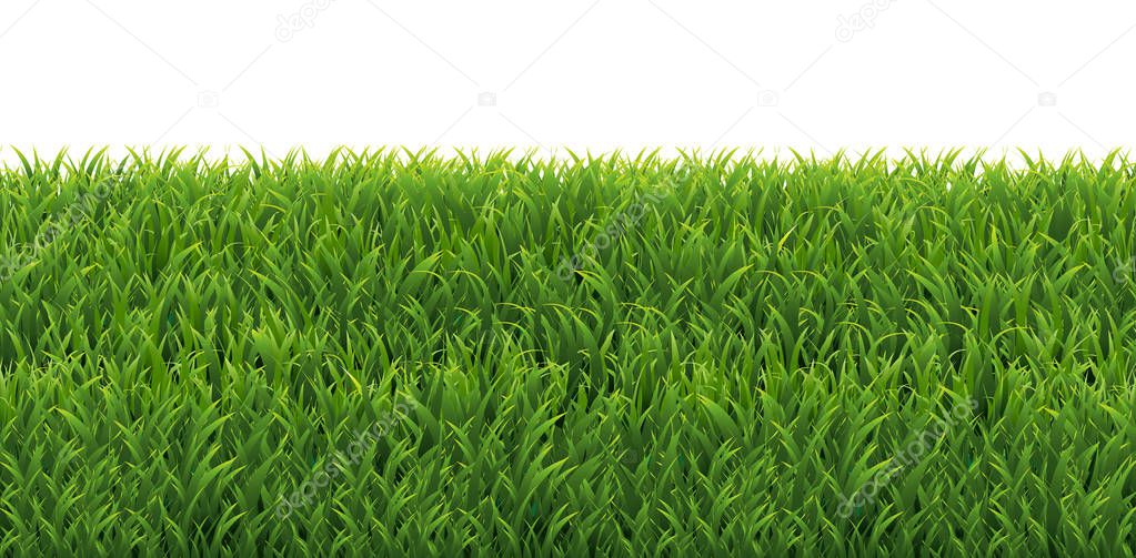 Green Grass Frame