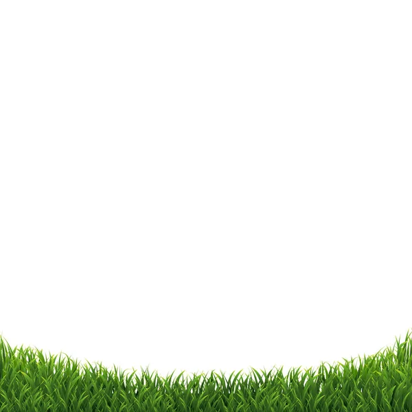 Gras geïsoleerde achtergrond — Stockvector