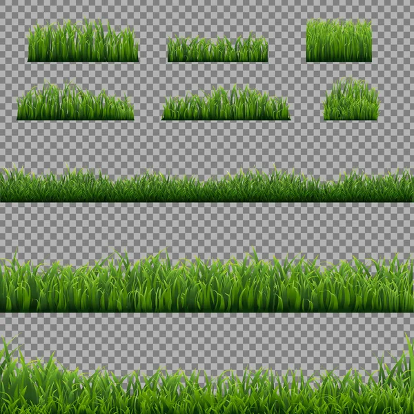 Big Set Green Grass Borders Transparent Background — Stock Vector