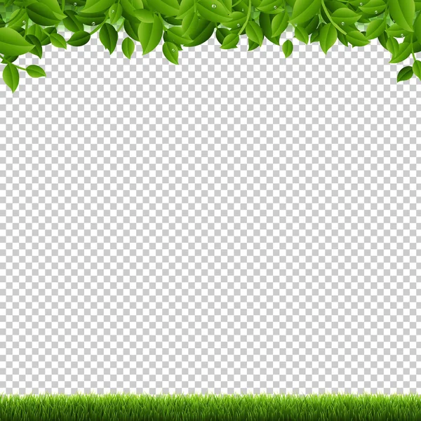 緑の草と葉の境界線透明な背景 ベクトルイラスト — ストックベクタ