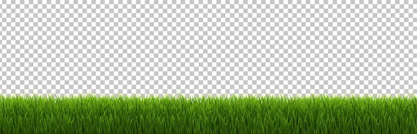 Grass Border Transparent background — Stock Vector