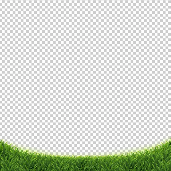 Erba verde isolato sfondo trasparente — Vettoriale Stock