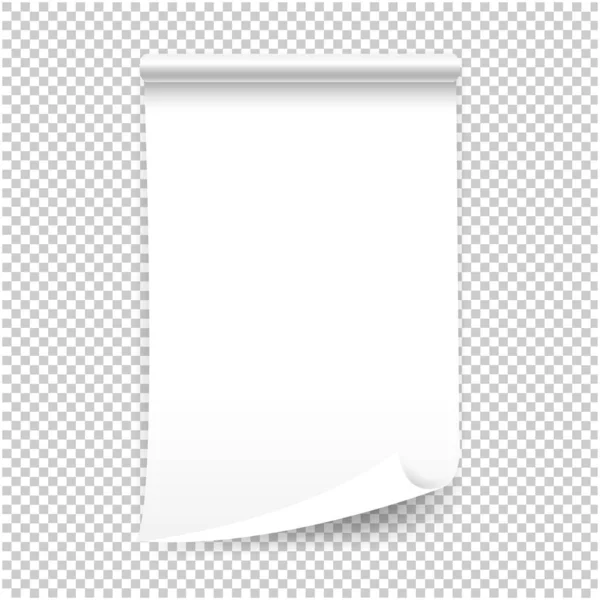 Feuille blanche vierge de papier frisé isolé fond transparent — Image vectorielle