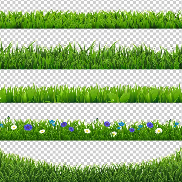 Green Grass Collection Bordure isolé fond transparent — Image vectorielle