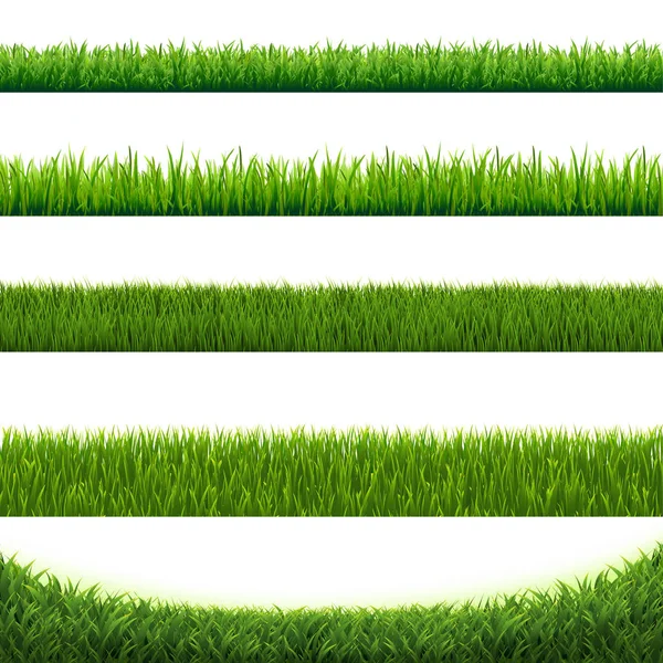 Vert Herbe Collection Bordure isolé fond blanc — Image vectorielle