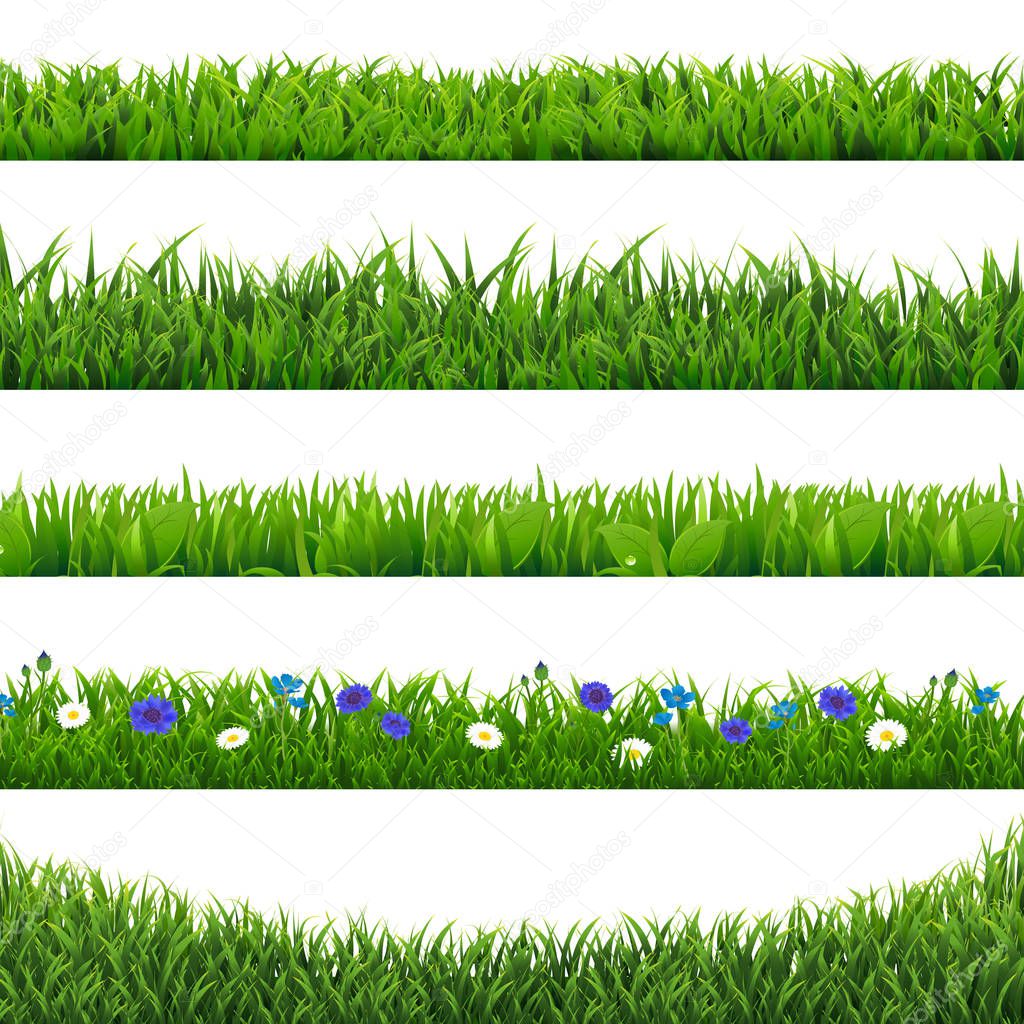 Green Grass Collection Border Isolated