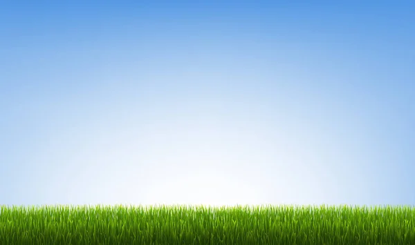 Frontière verte herbe avec ciel bleu — Image vectorielle