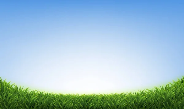 Zelená tráva s modrou oblohou — Stockový vektor