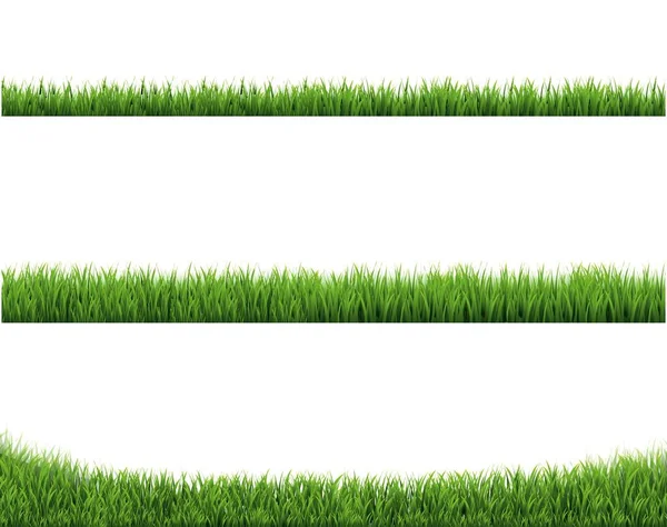 Green Grass Border Collection e sfondo bianco — Vettoriale Stock