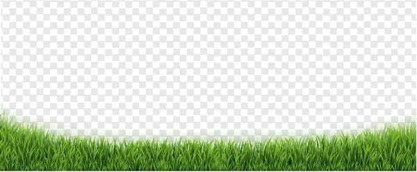Confini erba verde con sfondo trasparente — Vettoriale Stock