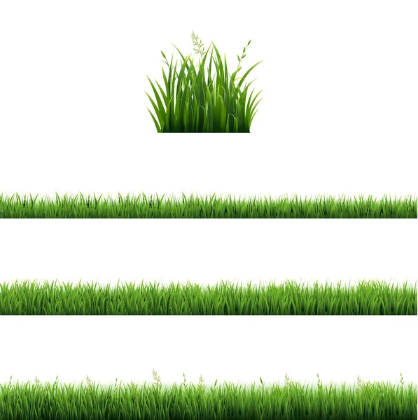 Green Grass Frames Set In Isolated Transparent Background — Stock Vector