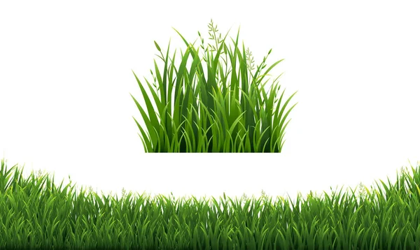 Zelené travní rámečky zasazené v izolovaném bílém pozadí — Stockový vektor