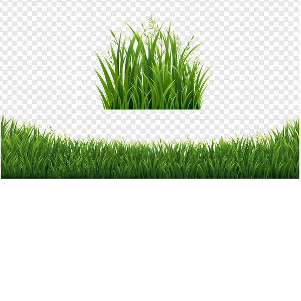 Conjunto de molduras de grama verde em fundo branco isolado —  Vetores de Stock