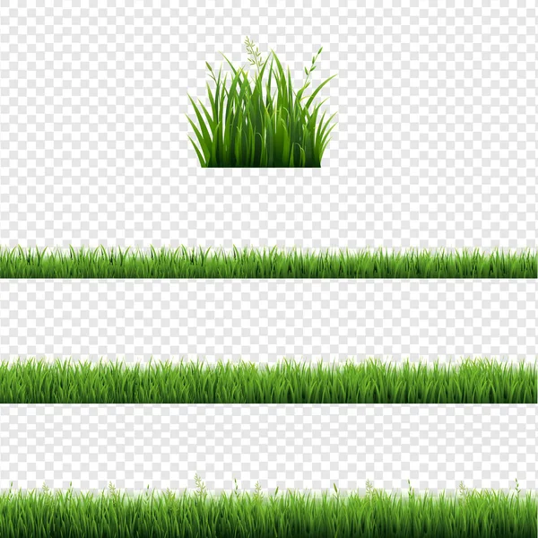 Green Grass Frames Set And Isolated Transparent Background — Stock Vector