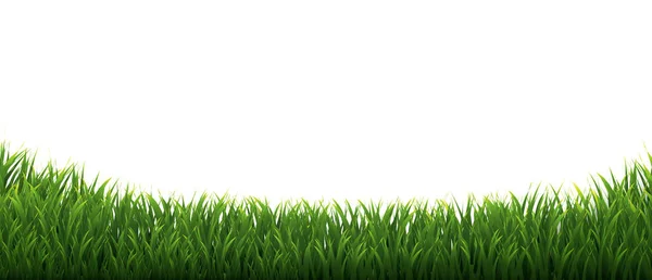 Molduras de grama definidas em fundo branco isolado — Vetor de Stock