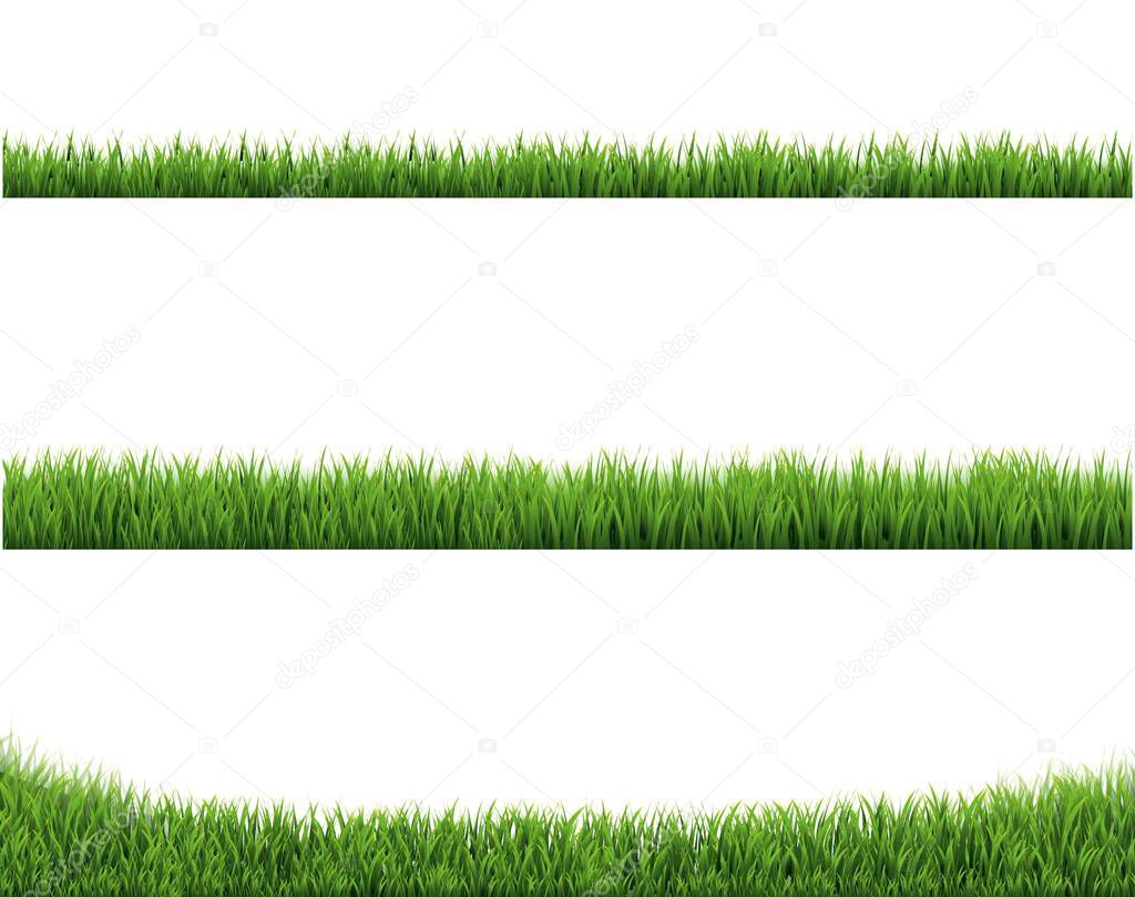 Green Grass Border Collection And White Background