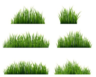 Yeşil Çim Sınırı Büyük Set Beyaz Arkaplan