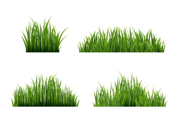Grass Border With White Background — Stock Vector