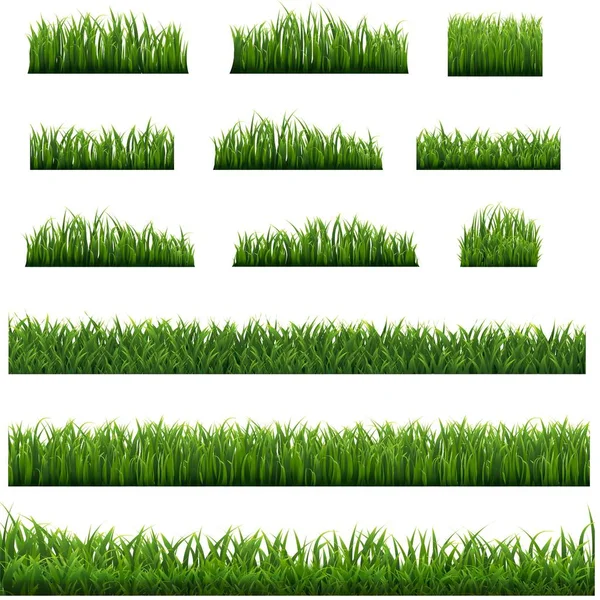 녹색 잔디가 격리 된 하얀 배경을 형성하다 — 스톡 벡터