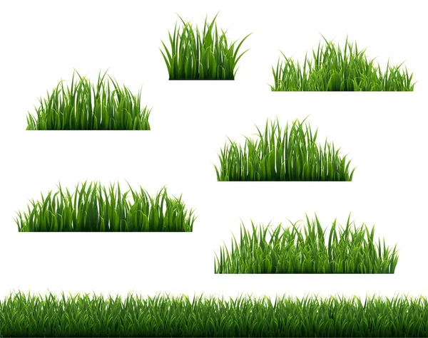 Green Grass Border And White Background — Stock Vector