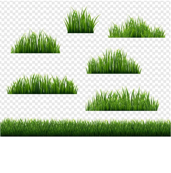 Green Grass Border Big Set Transparent Background — Stock Vector