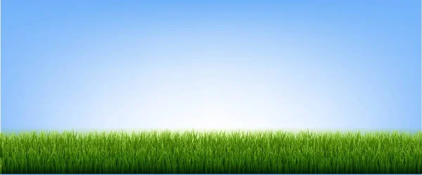 Groene Grasgrens en blauwe lucht — Stockvector