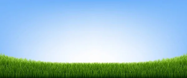 Frontera de hierba verde y cielo azul — Vector de stock