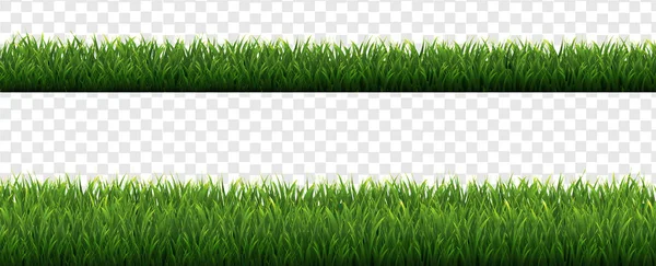 Gröna Gräsgränser Transparent bakgrund — Stock vektor