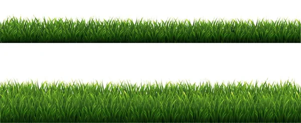 緑の草の境界白の背景 — ストックベクタ