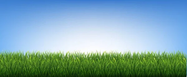 Зеленая граница травы и голубой фон — стоковый вектор