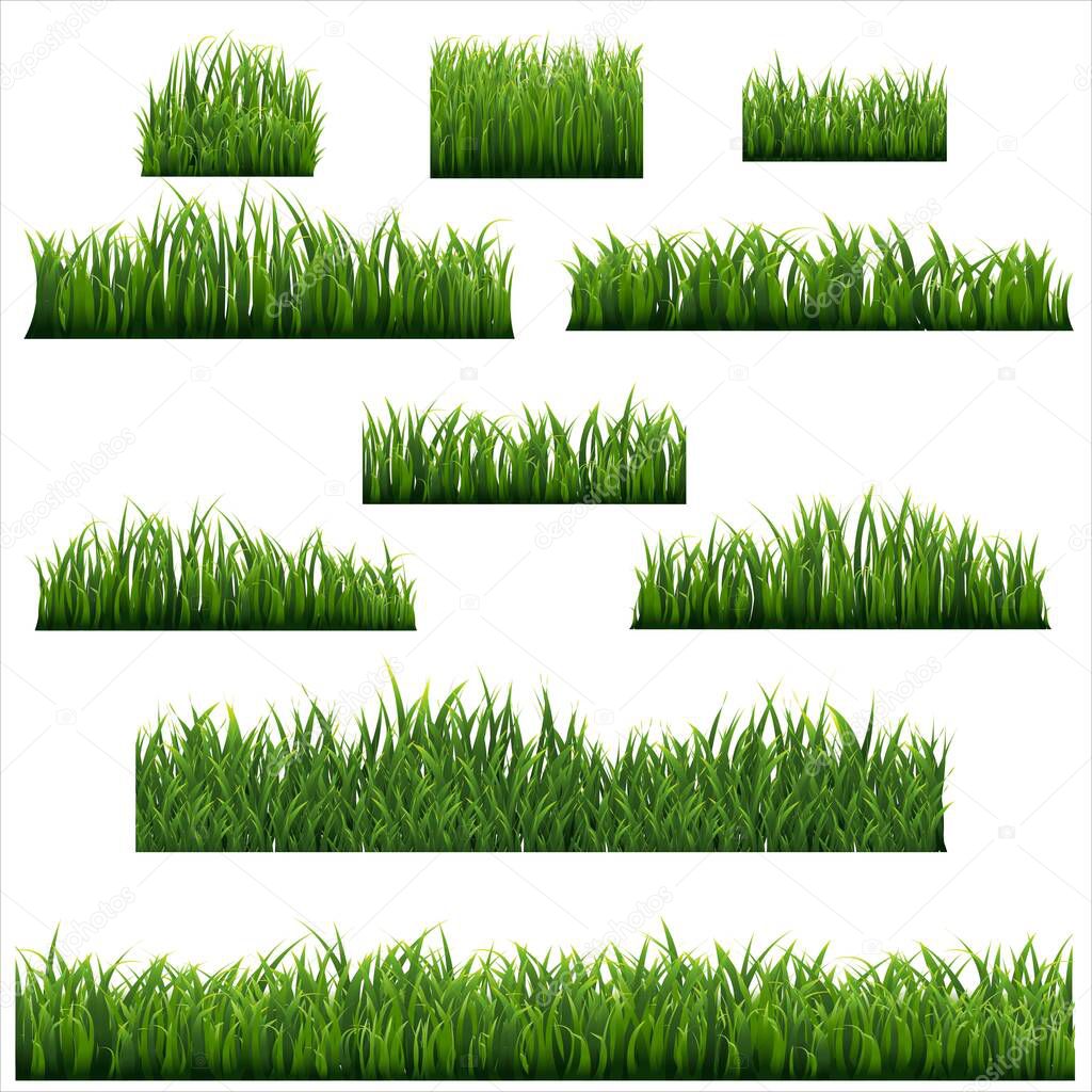 Green Grass Border Isolated White background