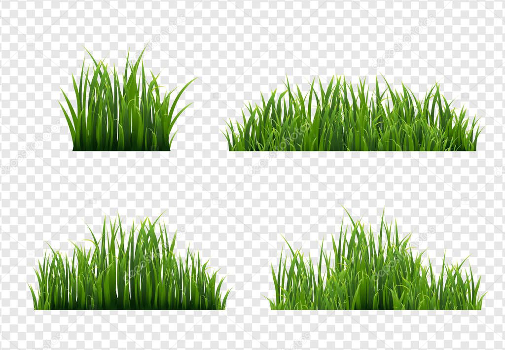 Grass Border With Transparent Background
