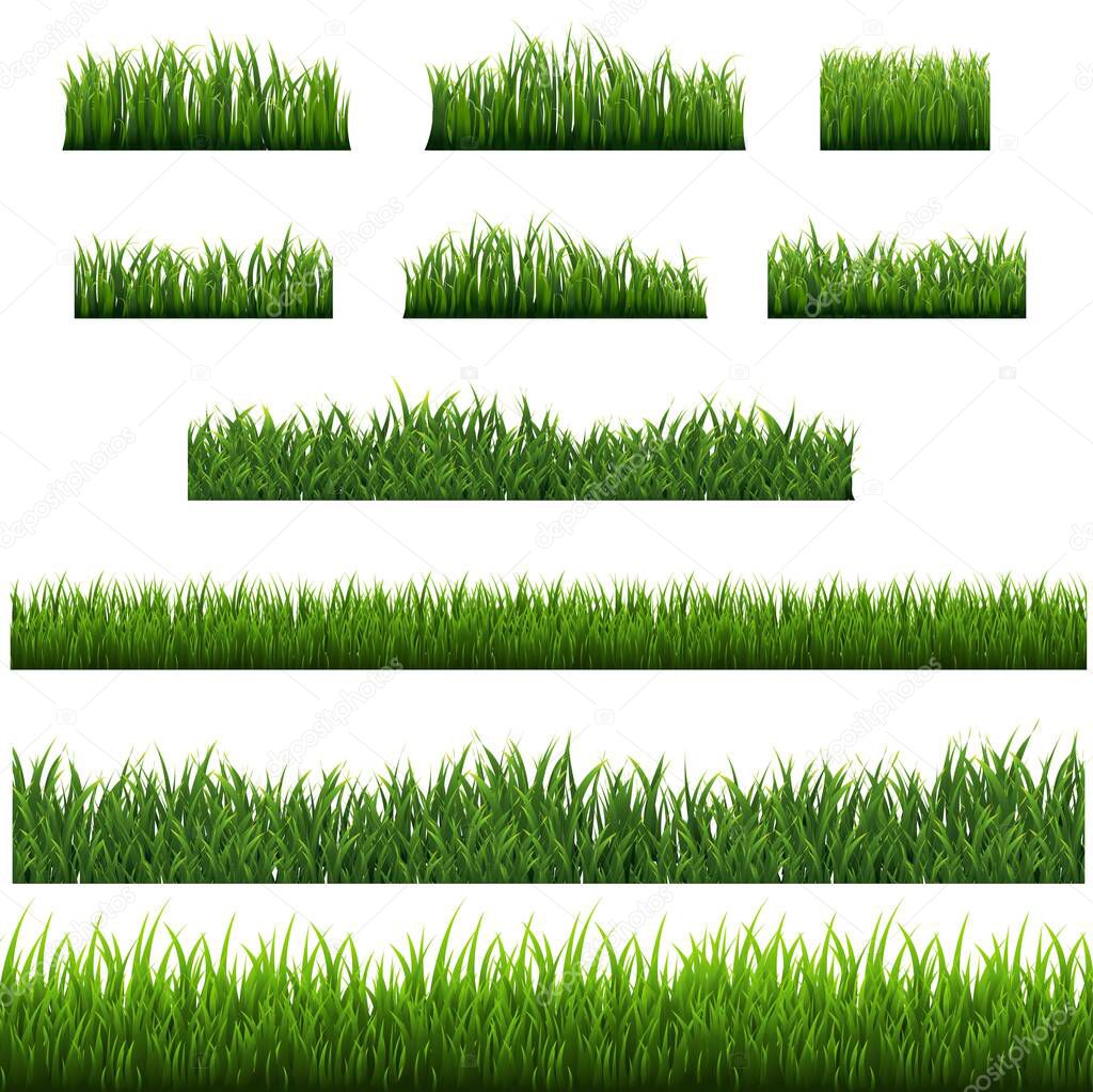 Green Grass Border Isolated With White background