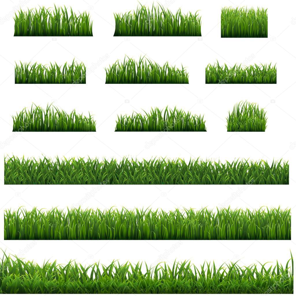 Green Grass Frame Isolated White background