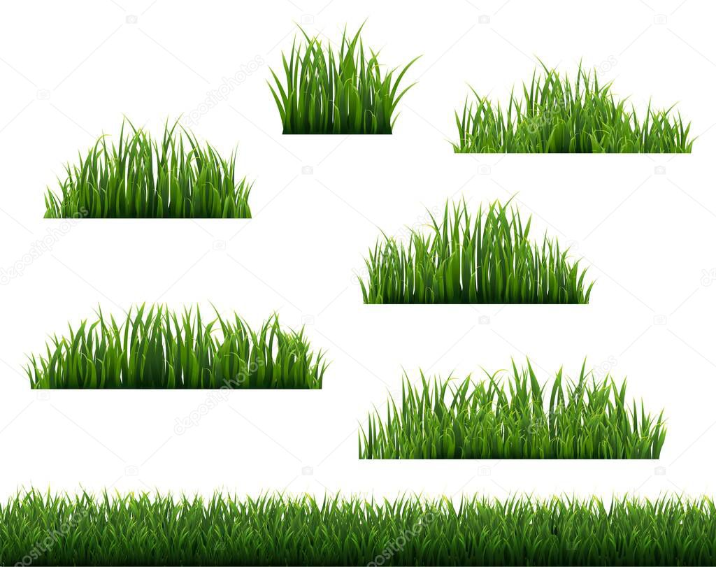 Green Grass Border And White Background