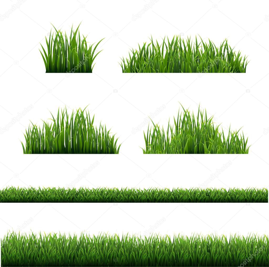 Green Grass Borders Collection White Background