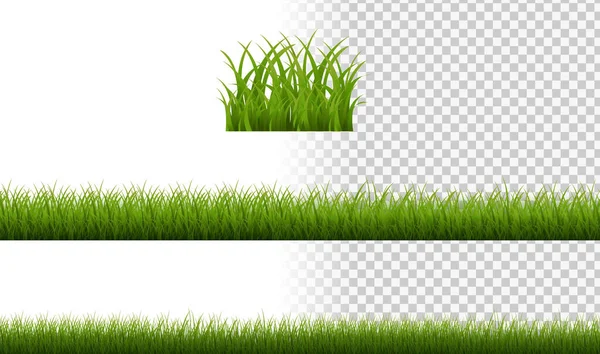 Зелена трава Кордон Ізольований прозорий фон — стоковий вектор