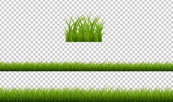 Groene gras geïsoleerde transparante achtergrond — Stockvector