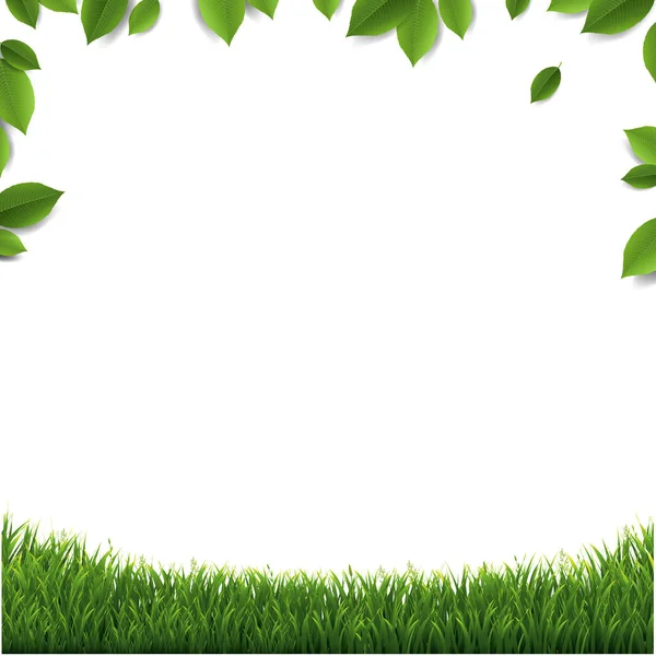 Green Leaves Frame With Green Grass Isolated White Background — Stock Vector