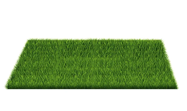 Square Of Green Grass Field — Stock Vector