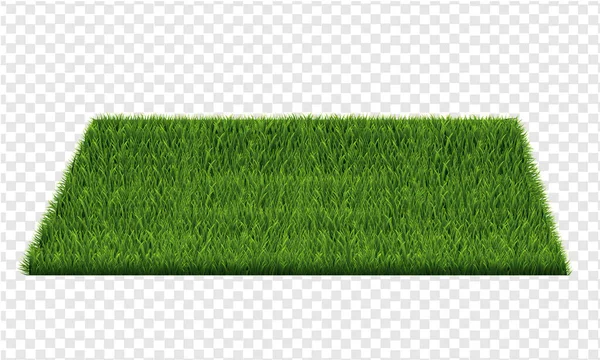Kwadrat zielonego pola trawy Przejrzyste tło — Wektor stockowy
