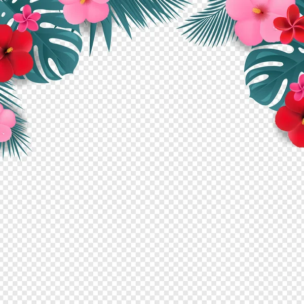 Summer Sale Special Offer Poster Transparent Background Gradient Mesh Vector — 스톡 벡터